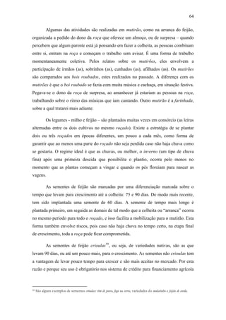 64
Algumas das atividades são realizadas em mutirão, como na arranca do feijão,
organizada a pedido do dono da roça que oferece um almoço, ou de surpresa – quando
percebem que algum parente está já pensando em fazer a colheita, as pessoas combinam
entre si, entram na roça e começam o trabalho sem avisar. É uma forma de trabalho
momentaneamente coletiva. Pelos relatos sobre os mutirões, eles envolvem a
participação de irmãos (as), sobrinhos (as), cunhados (as), afilhados (as). Os mutirões
são comparados aos bois roubados, estes realizados no passado. A diferença com os
mutirões é que o boi roubado se fazia com muita música e cachaça, em situação festiva.
Pegava-se o dono da roça de surpresa, ao amanhecer já estariam as pessoas na roça,
trabalhando sobre o ritmo das músicas que iam cantando. Outro mutirão é a farinhada,
sobre a qual tratarei mais adiante.
Os legumes - milho e feijão – são plantados muitas vezes em consórcio (as leiras
alternadas entre os dois cultivos no mesmo roçado). Existe a estratégia de se plantar
dois ou três roçados em épocas diferentes, um pouco a cada mês, como forma de
garantir que ao menos uma parte do roçado não seja perdida caso não haja chuva como
se gostaria. O regime ideal é que as chuvas, ou melhor, o inverno (um tipo de chuva
fina) após uma primeira descida que possibilite o plantio, ocorra pelo menos no
momento que as plantas começam a vingar e quando os pés floreiam para nascer as
vagens.
As sementes de feijão são marcadas por uma diferenciação marcada sobre o
tempo que levam para crescimento até a colheita: 75 e 90 dias. De modo mais recente,
tem sido implantada uma semente de 60 dias. A semente de tempo mais longo é
plantada primeiro, em seguida as demais de tal modo que a colheita ou “arranca” ocorra
no mesmo período para todo o roçado, e isso facilita a mobilização para o mutirão. Esta
forma também envolve riscos, pois caso não haja chova no tempo certo, na etapa final
de crescimento, toda a roça pode ficar comprometida.
As sementes de feijão crioulas59, ou seja, de variedades nativas, são as que
levam 90 dias, ou até um pouco mais, para o crescimento. As sementes não crioulas tem
a vantagem de levar pouco tempo para crescer e são mais aceitas no mercado. Por esta
razão e porque seu uso é obrigatório nos sistema de crédito para financiamento agrícola

59

São alguns exemplos de sementes crioulas: rim de porco, fogo na serra, variedades do mulatinho e feijão de corda.

 