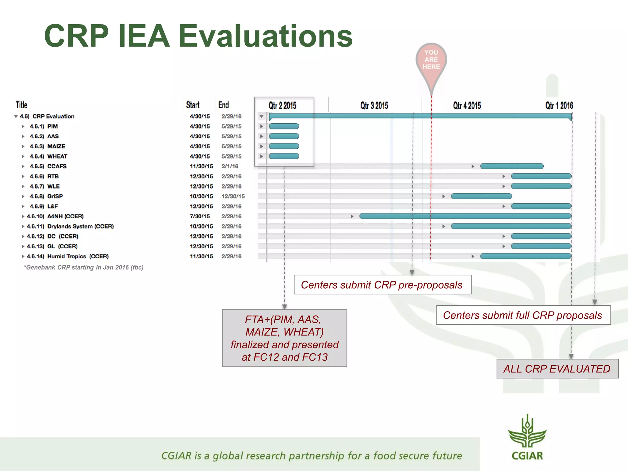 CRP IEA Evaluations
Centers submit full CRP proposals
*Genebank CRP starting in Jan 2016 (tbc)
FTA+(PIM, AAS,
MAIZE, WHEAT)
finalized and presented
at FC12 and FC13
ALL CRP EVALUATED
Centers submit CRP pre-proposals
 