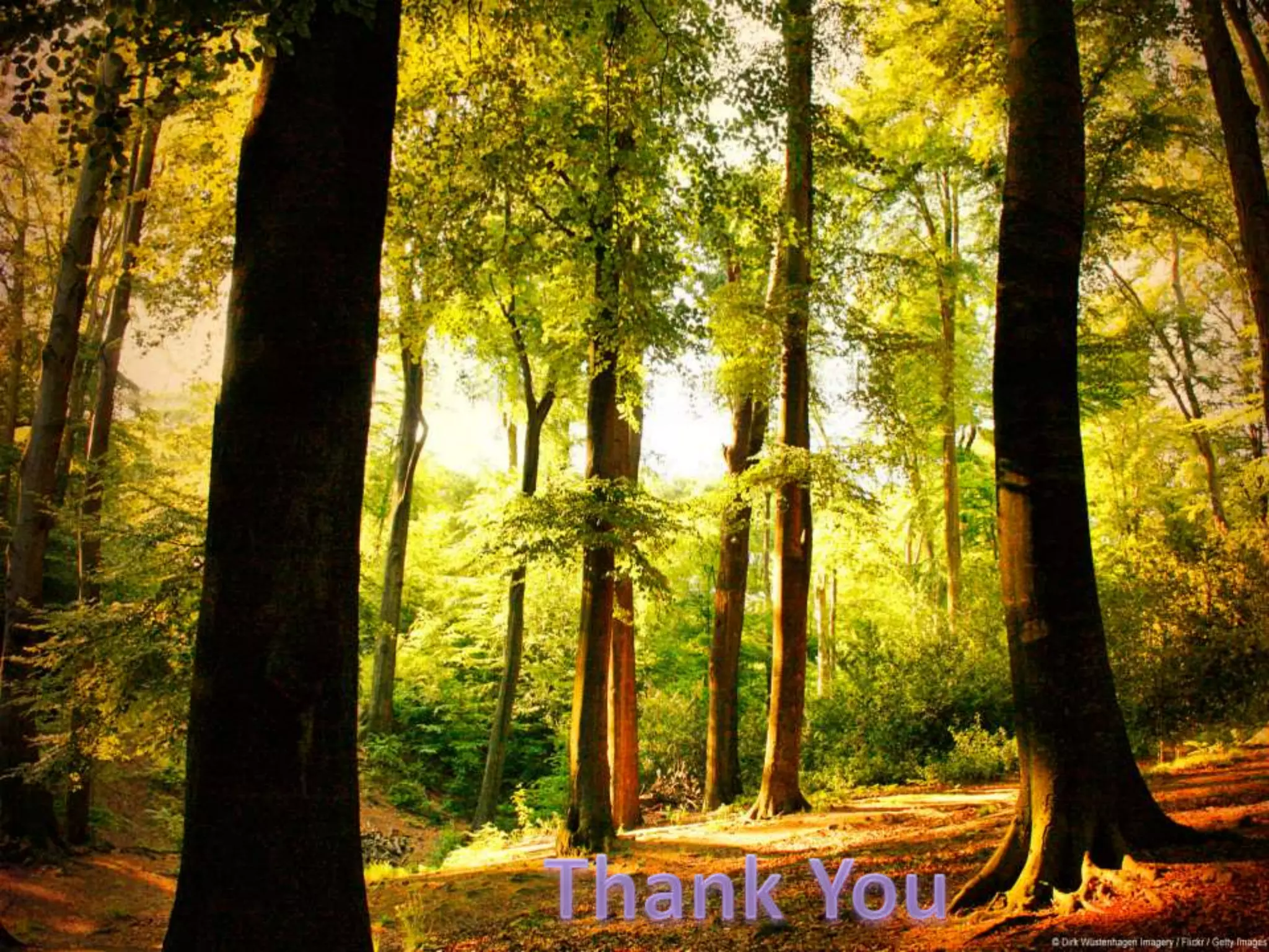 Direct Ophthalmoscopy