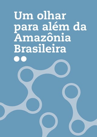 Um olhar
para além da
Amazônia
Brasileira
 