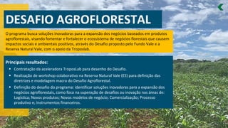 DESAFIO AGROFLORESTAL
O programa busca soluções inovadoras para a expansão dos negócios baseados em produtos
agroflorestais, visando fomentar e fortalecer o ecossistema de negócios florestais que causem
impactos sociais e ambientais positivos, através do Desafio proposto pelo Fundo Vale e a
Reserva Natural Vale, com o apoio da Troposlab.
Principais resultados:
Contratação da aceleradora
▪ TroposLab para desenho do Desafio.
Realização de workshop colaborativo na Reserva Natural Vale (ES) para definição das
▪
diretrizes e modelagem macro do Desafio Agroflorestal.
Definição do desafio do programa: identificar soluções inovadoras para a expansão dos
▪
negócios agroflorestais, como foco na superação de desafios ou inovação nas áreas de:
Logística; Novos produtos; Novos modelos de negócio; Comercialização; Processo
produtivo e; Instrumentos financeiros.
 