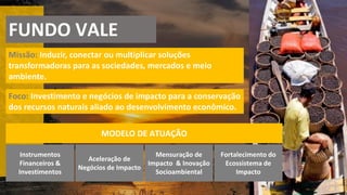 FUNDO VALE
Foco: Investimento e negócios de impacto para a conservação
dos recursos naturais aliado ao desenvolvimento econômico.
Missão: Induzir, conectar ou multiplicar soluções
transformadoras para as sociedades, mercados e meio
ambiente.
MODELO DE ATUAÇÃO
Instrumentos
Financeiros &
Investimentos
Mensuração de
Impacto & Inovação
Socioambiental
Aceleração de
Negócios de Impacto
Fortalecimento do
Ecossistema de
Impacto
 