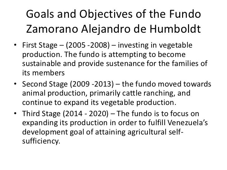 Dissertation thesis zamorano