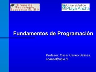 Fundamentos de Programación Profesor: Oscar Caneo Salinas [email_address]   