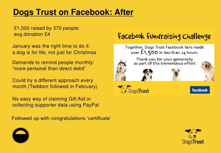 Fundraising and social media with Dogs Trust and JustGiving