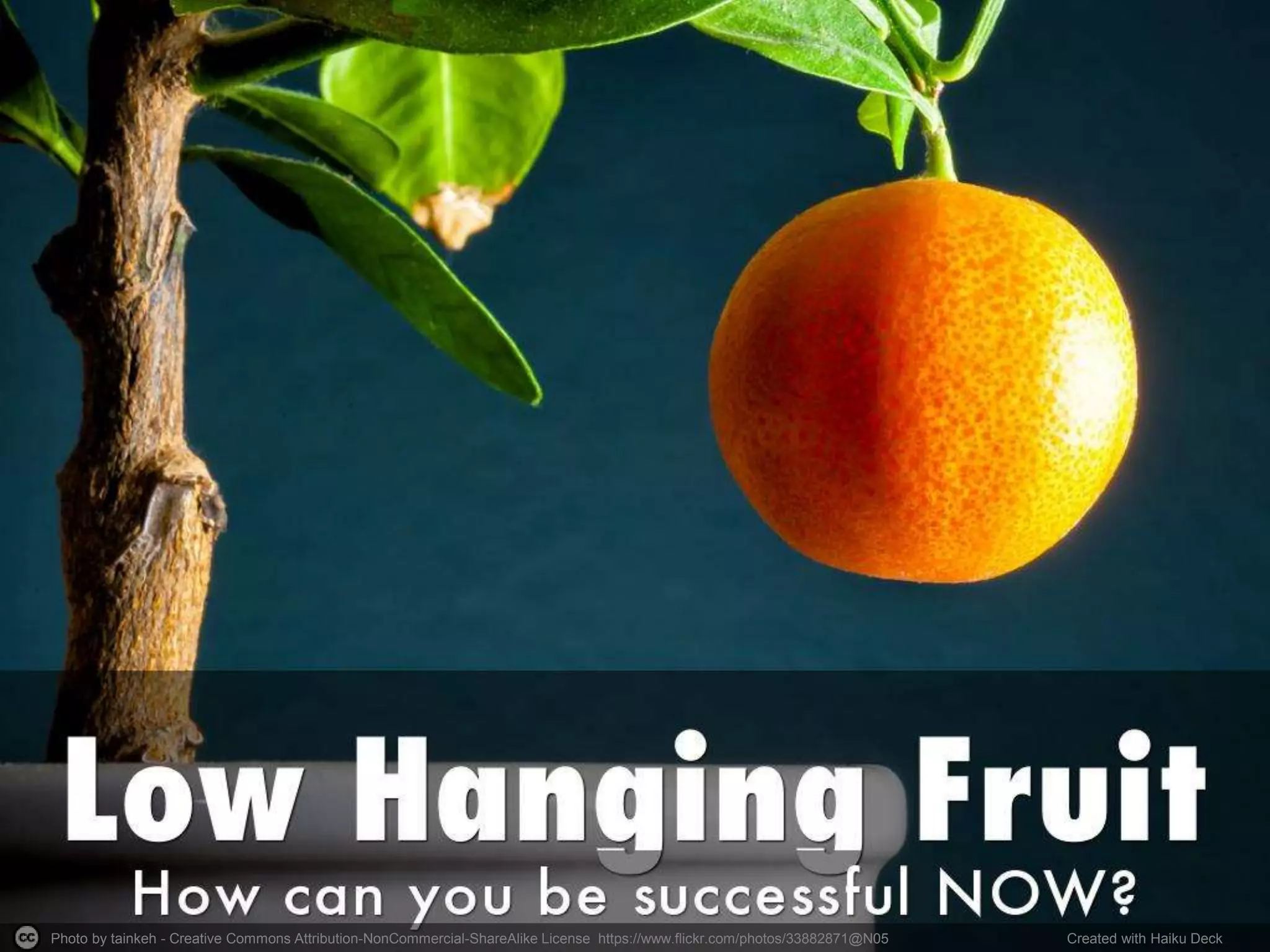 Photo by tainkeh - Creative Commons Attribution-NonCommercial-ShareAlike License https://www.flickr.com/photos/33882871@N05 Created with Haiku Deck
 