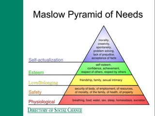 Maslow Pyramid of Needs
 