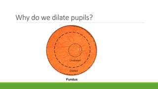 Why do we dilate pupils?
 