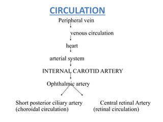 CIRCULATION
Peripheral vein
venous circulation
heart
arterial system
INTERNAL CAROTID ARTERY
Ophthalmic artery
Short posterior ciliary artery Central retinal Artery
(choroidal circulation) (retinal circulation)
 