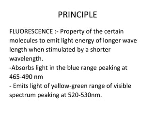 PRINCIPLE
FLUORESCENCE :- Property of the certain
molecules to emit light energy of longer wave
length when stimulated by a shorter
wavelength.
-Absorbs light in the blue range peaking at
465-490 nm
- Emits light of yellow-green range of visible
spectrum peaking at 520-530nm.
 