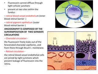 • Fluorescein cannot diffuse through
tight cellular junctions
• present at two sites within the
fundus:
– retinal blood vessel endothelium (inner
blood retinal barrier )
– retinal pigment epithelium (outer
blood retinal barrier )
ANGIOGRAPHY IS COMPOSED OF THE
SUPERIMPOSITION OF TWO SEPARATE
CIRCULATIONS
– Choroidal circulation -
the fluorescein freely leaks out of the
fenestrated choroidal capillaries, and
from there through Bruch's membrane.
– Retinal circulation -
the retinal blood vessel endothelial cells
are joined by tight junctions which
prevent leakage of fluorescein into the
retina.
 