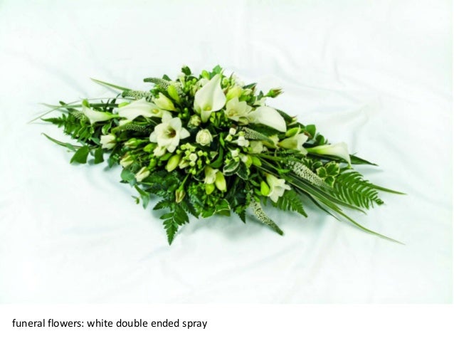 Flowers In The Shape Of A Dog Uk Flowers In The Shape Of A Dog Uk