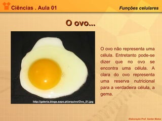 Ciências . Aula 01 Funções celulares   O ovo... http://galeria.blogs.sapo.pt/arquivo/Ovo_01.jpg O ovo não representa uma célula. Entretanto pode-se dizer que no ovo se encontra uma célula. A clara do ovo representa uma reserva nutricional para a verdadeira célula, a gema. 