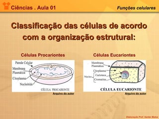 Ciências . Aula 01 Funções celulares   Classificação das células de acordo com a organização estrutural: Células Eucariontes  Células Procariontes  Arquivo do autor Arquivo do autor 