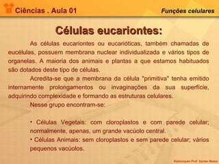 Ciências . Aula 01 Funções celulares   As células eucariontes ou eucarióticas, também chamadas de eucélulas, possuem membrana nuclear individualizada e vários tipos de organelas. A maioria dos animais e plantas a que estamos habituados são dotados deste tipo de células. Acredita-se que a membrana da célula "primitiva" tenha emitido internamente prolongamentos ou invaginações da sua superfície, adquirindo complexidade e formando as estruturas celulares.  Nesse grupo encontram-se: Células Vegetais: com cloroplastos e com parede celular; normalmente, apenas, um grande vacúolo central.  Células Animais: sem cloroplastos e sem parede celular; vários pequenos vacúolos. Células eucariontes: 