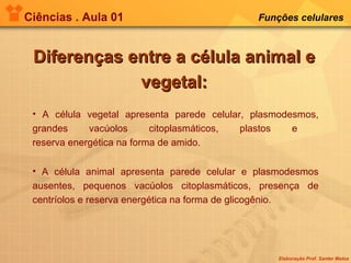 Ciências . Aula 01 Funções celulares   Diferenças entre a célula animal e vegetal: A célula vegetal apresenta parede celular, plasmodesmos, grandes vacúolos citoplasmáticos, plastos e  reserva energética na forma de amido. A célula animal apresenta parede celular e plasmodesmos ausentes, pequenos vacúolos citoplasmáticos, presença de centríolos e reserva energética na forma de glicogênio. 