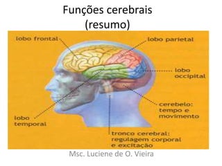 Funções cerebrais
(resumo)
Msc. Luciene de O. Vieira
 