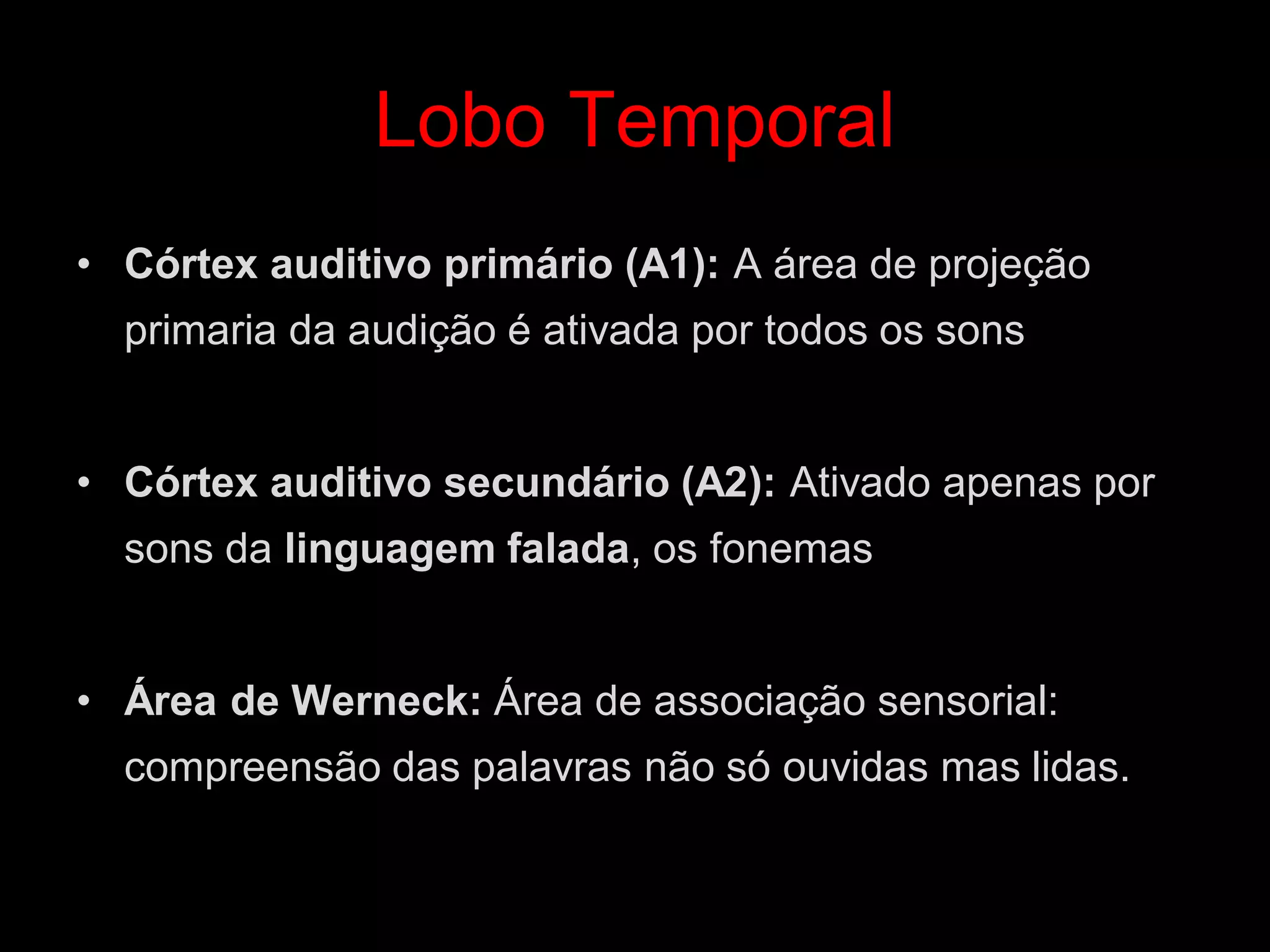 Lobo Temporal 
•Córtex auditivo primário (A1): A área de projeção primaria da audição é ativada por todos os sons 
•Córtex auditivo secundário (A2): Ativado apenas por sons da linguagem falada, os fonemas 
•Área de Werneck: Área de associação sensorial: compreensão das palavras não só ouvidas mas lidas.  