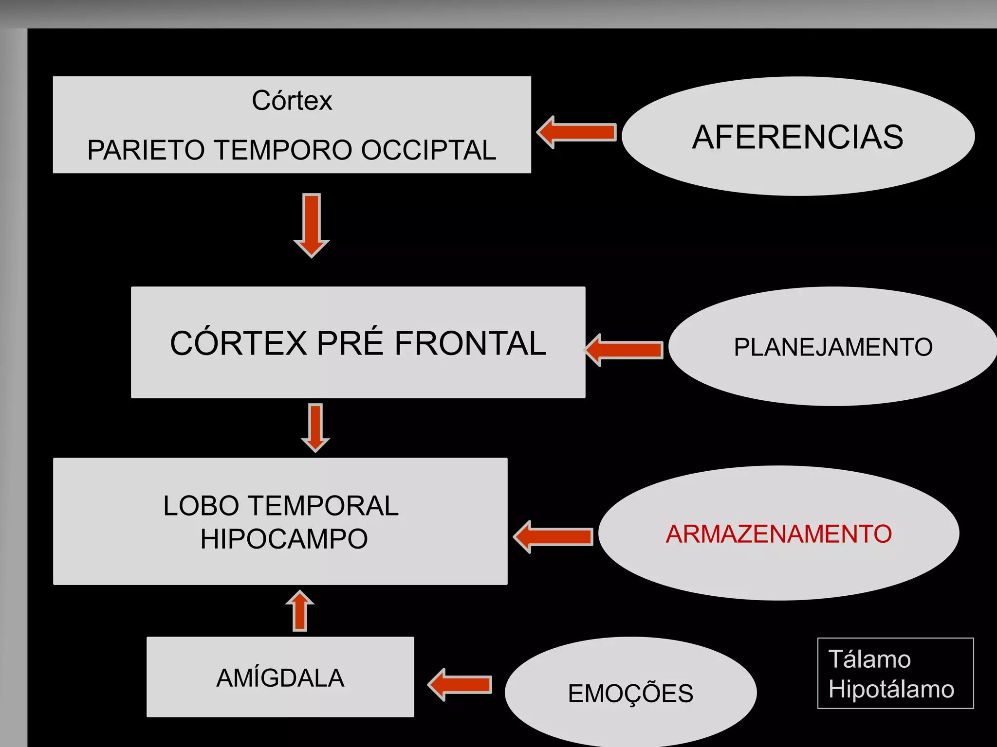 Córtex 
PARIETO TEMPORO OCCIPTAL 
AFERENCIAS 
PLANEJAMENTO 
CÓRTEX PRÉ FRONTAL 
ARMAZENAMENTO 
LOBO TEMPORAL 
HIPOCAMPO 
EMOÇÕES 
AMÍGDALA 
Tálamo 
Hipotálamo  