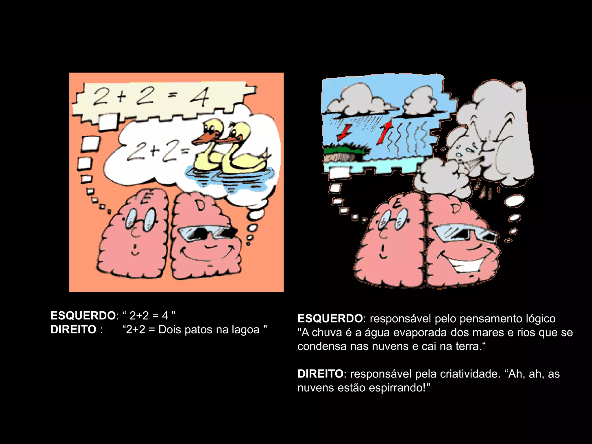 ESQUERDO: “ 2+2 = 4 " 
DIREITO : “2+2 = Dois patos na lagoa " 
ESQUERDO: responsável pelo pensamento lógico 
"A chuva é a água evaporada dos mares e rios que se condensa nas nuvens e cai na terra.“ 
DIREITO: responsável pela criatividade. “Ah, ah, as nuvens estão espirrando!" 
Os dois hemisférios cerebrais são funcionalmente assimétricos  