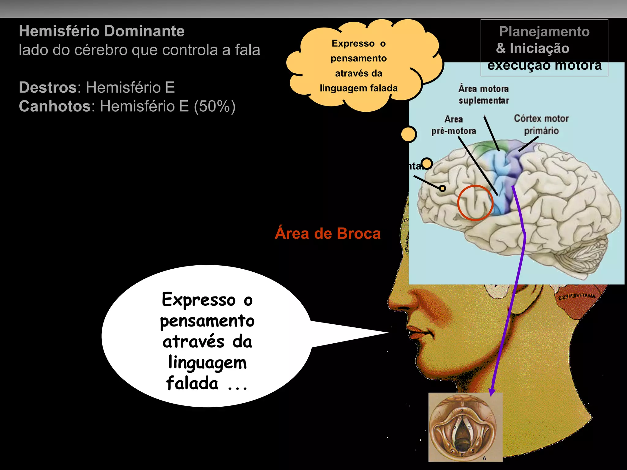 Hemisfério Dominante 
lado do cérebro que controla a fala 
Destros: Hemisfério E 
Canhotos: Hemisfério E (50%) 
Expresso o pensamento através da linguagem falada ... 
Área pre-frontal 
Expresso o pensamento através da linguagem falada 
Área de Broca 
Escolha 
das palavras 
Planejamento 
& Iniciação da 
execução motora  