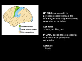 GNOSIA: capacidade de 
percepção e identificação das 
informações que chegam as áreas 
sensoriais associativas 
Agnosias 
visual, auditiva, etc 
PRAXIA: capacidade de executar 
os movimentos planejados 
voluntários. 
Apraxias 
Afasia 
 