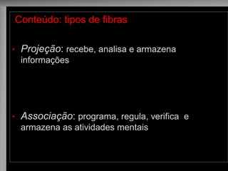 Conteúdo: tipos de fibras 
•Projeção: recebe, analisa e armazena informações 
•Associação: programa, regula, verifica e armazena as atividades mentais  