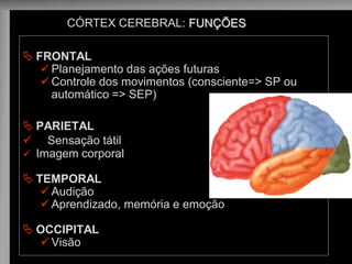 FRONTAL 
Planejamento das ações futuras 
Controle dos movimentos (consciente=> SP ou automático => SEP) 
PARIETAL 
 Sensação tátil 
Imagem corporal 
TEMPORAL 
Audição 
Aprendizado, memória e emoção 
OCCIPITAL 
Visão 
CÓRTEX CEREBRAL: FUNÇÕES  