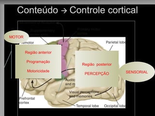 Conteúdo  Controle cortical 
Região posterior 
PERCEPÇÃO 
Região anterior Programação Motoricidade 
SENSORIAL 
MOTOR  