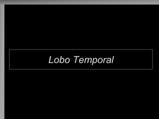 Lobo Temporal  