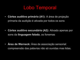 Lobo Temporal 
•Córtex auditivo primário (A1): A área de projeção primaria da audição é ativada por todos os sons 
•Córtex auditivo secundário (A2): Ativado apenas por sons da linguagem falada, os fonemas 
•Área de Werneck: Área de associação sensorial: compreensão das palavras não só ouvidas mas lidas.  