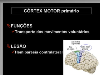 FUNÇÕES 
Transporte dos movimentos voluntários 
LESÃO 
Hemiparesia contralateral 
CÓRTEX MOTOR primário  