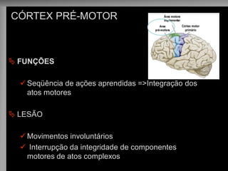 FUNÇÕES 
Seqüência de ações aprendidas =>Integração dos atos motores 
LESÃO 
Movimentos involuntários 
 Interrupção da integridade de componentes motores de atos complexos 
CÓRTEX PRÉ-MOTOR  