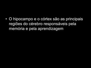 •O hipocampo e o córtex são as principais regiões do cérebro responsáveis pela memória e pela aprendizagem  