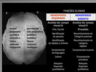 FUNÇÕES ESPECIFICAS 
FUNÇÕES GLOBAIS 
HEMISFERIO ESQUERDO 
HEMISFERIO 
DIREITO 
Analise do campo visual D 
Analise do campo visual E 
Fala, Escrita 
Prosódia 
Identificação 
de pessoas 
Reconhecimento da 
Categoria pessoas 
Identificação 
de objetos e animais 
Reconhecimento da categoria 
objetos 
Compreensão 
da linguagem 
Compreensão musical 
Leitura 
Compreensão 
prosódica 
Relações 
Espaciais 
quantitativas 
Relações 
Espaciais 
qualitativas 
E 
D  