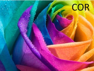 COR
 