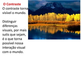 O Contraste
O contraste torna
visível o mundo.
Distinguir
diferenças
visuais, por mais
sutis que sejam,
é o que torna
possível nossa
interação visual
com o mundo.
 