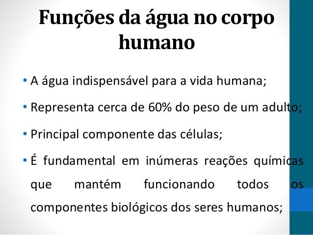 Quais São As Funções Da Água No Corpo Humano? – XXWHGF