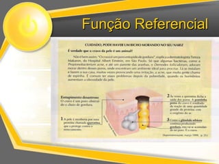 Função Referencial 
 