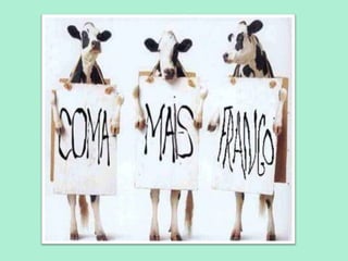 25/08/12   PROFESSORA: KETCHEN PÂMELA
                     GOUVEIA
 