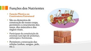 Funções dos Nutrientes
• Função Plástica ou
Construtora/Estrutural
• São os elementos de
construção do nosso corpo,
permitem o crescimento dos
ossos, dos músculos e dos
órgãos vitais.
• Participam da constituição de
enzimas (um tipo de proteína),
anticorpos e hormonas.
• Permitem a renovação das
células (unhas, sangue, pele,
etc.).
 