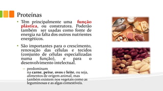 Proteínas
• Têm principalmente uma função
plástica, ou construtora. Poderão
também ser usadas como fonte de
energia na falta dos outros nutrientes
energéticos.
• São importantes para o crescimento,
renovação das células e tecidos
(conjunto de células especializadas
numa função), e para o
desenvolvimento intelectual.
– predominam
na carne, peixe, ovos e leite, ou seja,
alimentos de origem animal, mas
também existem nos vegetais como as
leguminosas e as algas comestíveis.
 