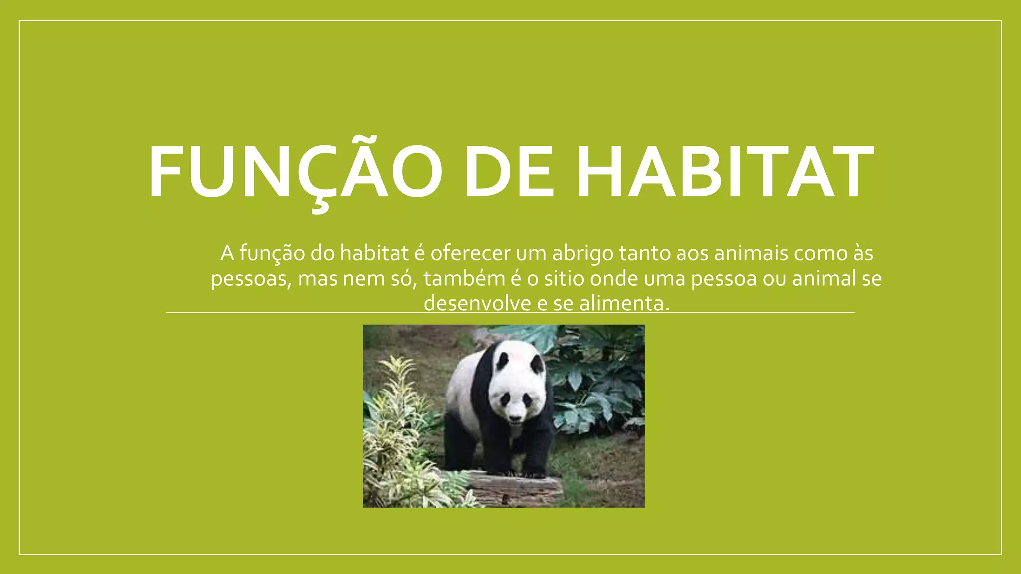 FUNÇÃO DE HABITAT
A função do habitat é oferecer um abrigo tanto aos animais como às
pessoas, mas nem só, também é o sitio onde uma pessoa ou animal se
desenvolve e se alimenta.
 