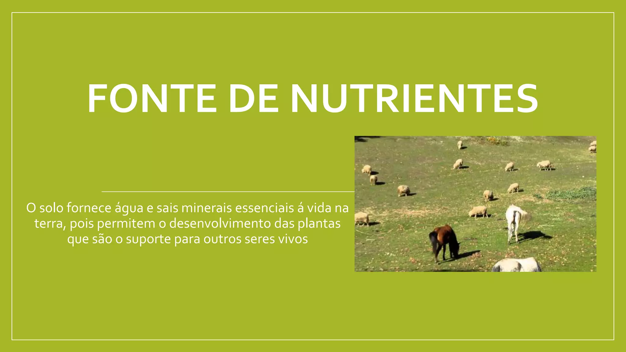FONTE DE NUTRIENTES
O solo fornece água e sais minerais essenciais á vida na
terra, pois permitem o desenvolvimento das plantas
que são o suporte para outros seres vivos
 