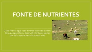 FONTE DE NUTRIENTES
O solo fornece água e sais minerais essenciais á vida na
terra, pois permitem o desenvolvimento das plantas
que são o suporte para outros seres vivos
 