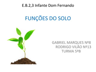 GABRIEL MARQUES Nº8
RODRIGO VILÃO Nº13
TURMA 5ºB
E.B.2,3 Infante Dom Fernando
FUNÇÕES DO SOLO
 