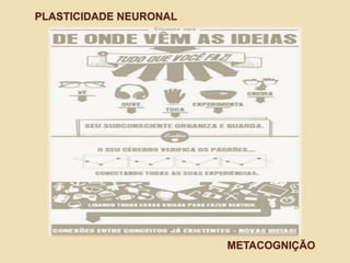 PLASTICIDADE NEURONAL
METACOGNIÇÃO
 