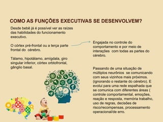 COMO AS FUNÇÕES EXECUTIVAS SE DESENVOLVEM?
Desde bebê já é possível ver as raízes
das habilidades do funcionamento
executivo.
O córtex pré-frontal ou a terça parte
frontal do cérebro.
Tálamo, hipotálamo, amígdala, giro
singular inferior, córtex orbtofrontal,
gânglio basal.
Engajada no controle do
comportamento e por meio de
interações com todas as partes do
cérebro.
Passando de uma situação de
múltiplos neurônios se comunicando
com seus vizinhos mais próximos.
(ignorando o restante do cérebro). E
evolui para uma rede espalhada que
se comunica com diferentes áreas (
controle comportamental, emoções,
reação e resposta, memória trabalho,
uso de regras, decisões de
risco/recompensas, processamento
operacional/de erro.
 