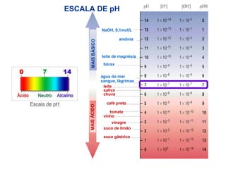 ESCALA DE pH
amônia
suco de limão
vinagre
vinho
tomate
café preto
leite
saliva
chuva
leite de magnésia
suco gástrico
bórax
água do mar
sangue, lágrimas
NaOH, 0,1mol/L
MAISÁCIDOMAISBÁSICO
 