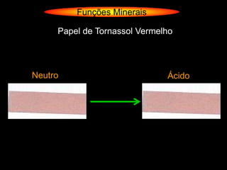 Funções Minerais

     Papel de Tornassol Vermelho




Neutro                        Ácido
 